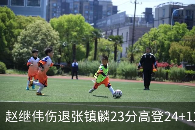 赵继伟伤退张镇麟23分高登24+12 辽宁大胜四川
